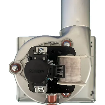 Ventilateur de combustion