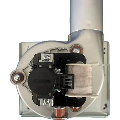 Ventilateur de combustion
